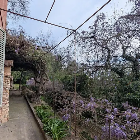 Holiday home Maison De Famille Entre & Collines - Charme, Citronniers Et Tranquillite - Acces Marche Et Sentier 3 Min Menton