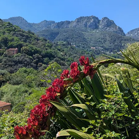 Maison De Famille Entre & Collines - Charme, Citronniers Et Tranquillite - Acces Marche Et Sentier 3 Min * Menton