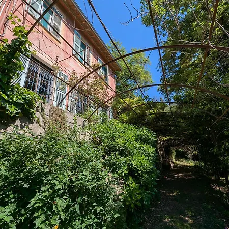 Maison De Famille Entre & Collines - Charme, Citronniers Et Tranquillite - Acces Marche Et Sentier 3 Min Holiday home