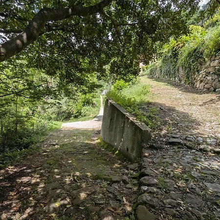 Hébergement de vacances Maison De Famille Entre Mer&collines - Charme, Citronniers Et Tranquillité - Accès Marche Et Sentier 3 Min