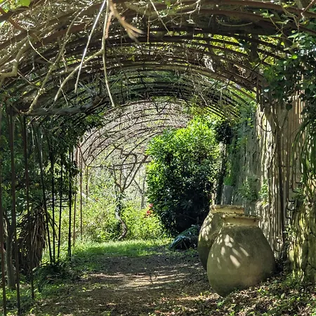 Maison De Famille Entre Mer&collines - Charme, Citronniers Et Tranquillité - Accès Marche Et Sentier 3 Min Hébergement de vacances *