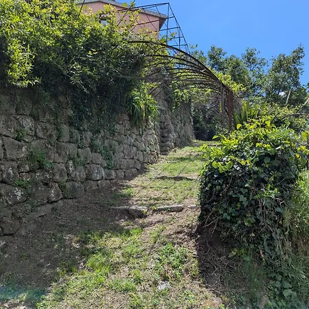 Hébergement de vacances Maison De Famille Entre Mer&collines - Charme, Citronniers Et Tranquillité - Accès Marche Et Sentier 3 Min Menton