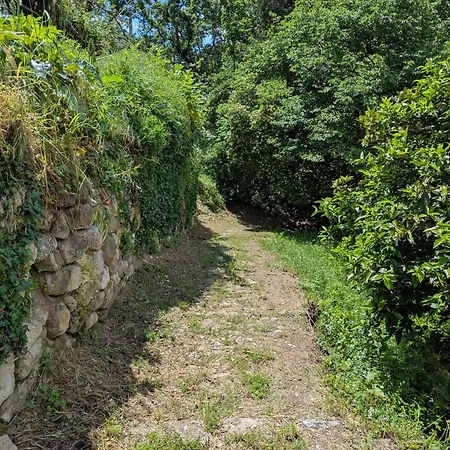 Maison De Famille Entre Mer&collines - Charme, Citronniers Et Tranquillité - Accès Marche Et Sentier 3 Min